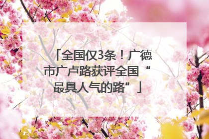 全国仅3条！广德市广卢路获评全国“最具人气的路”